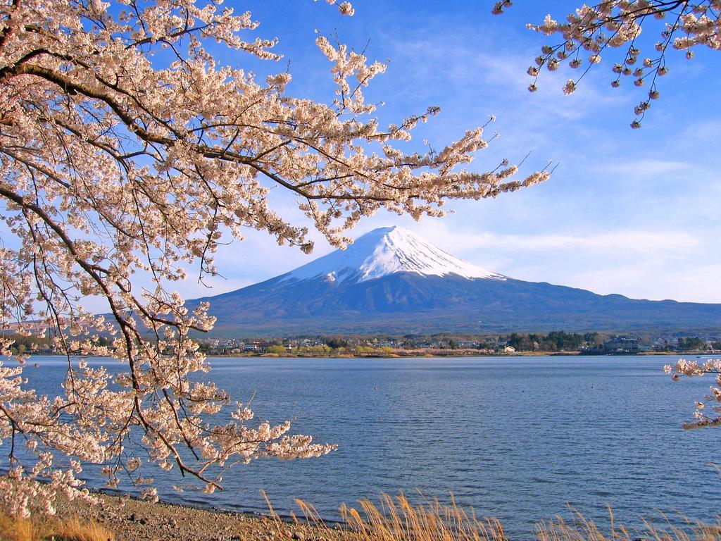 Kawaguchiko Urban Resort Villa Fujikawaguchiko Bilik gambar